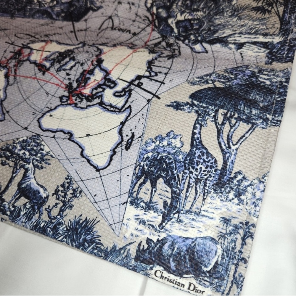 Dior Blue and Tan Tote Bag around the world - Picture 2 of 13
